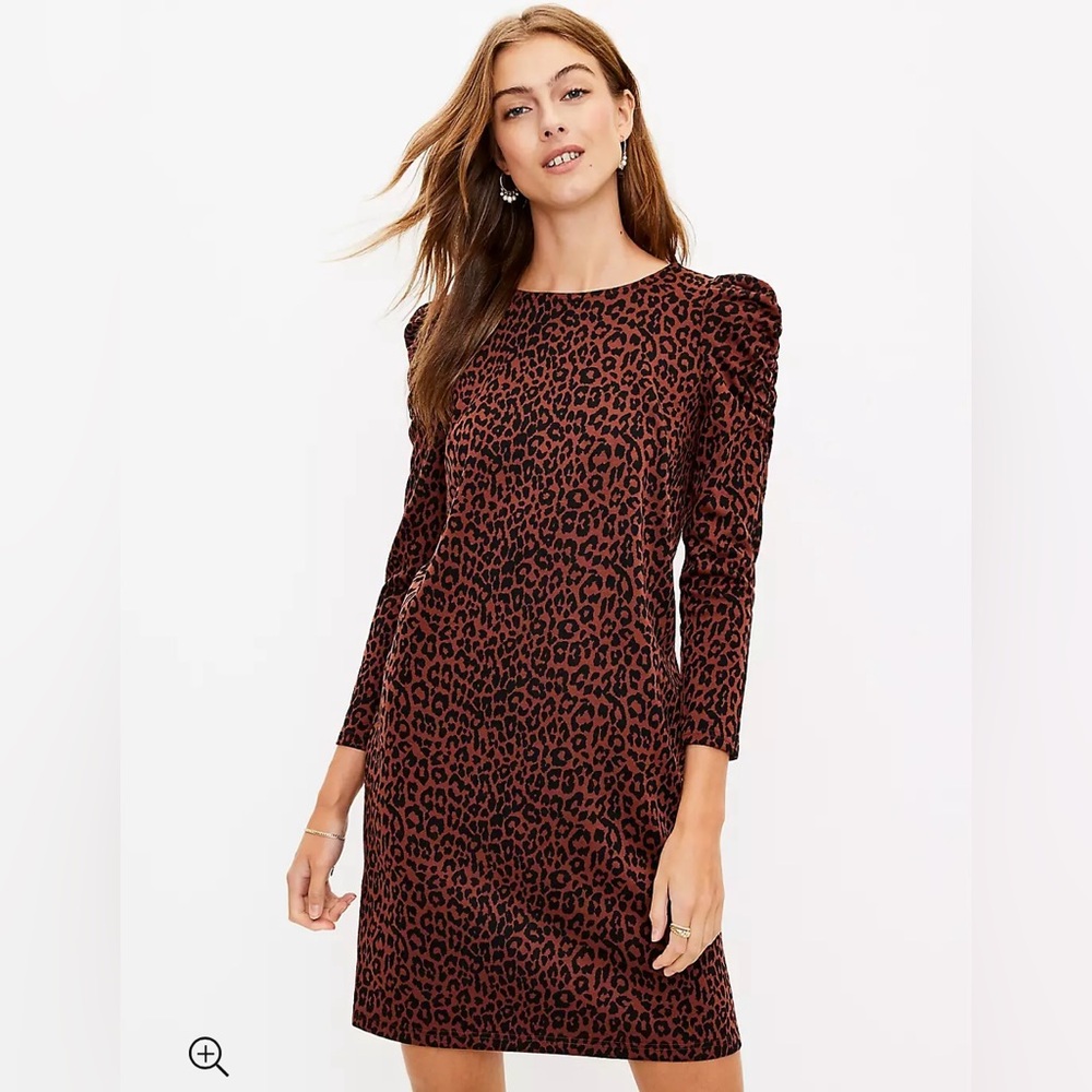 LOFT Brown and Black Leopard Print Sheath Dress